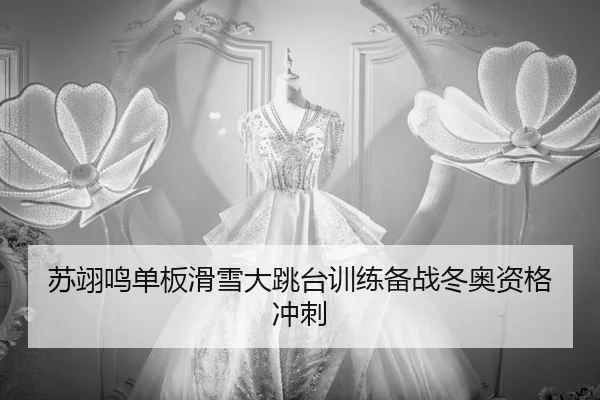 su-yi-ming-dan-ban-hua-xue-da-tiao-tai-xun-lian-bei-zhan-dong-ao-zi-ge-chong-ci-2-277.jpg